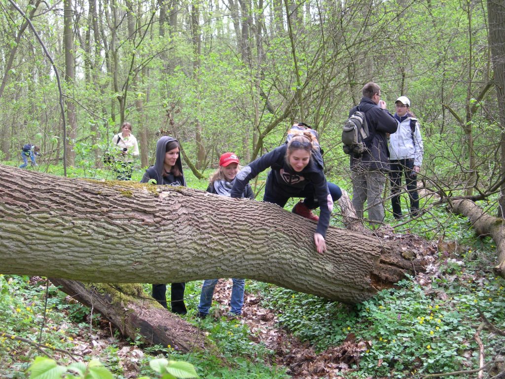 Płutowo k/Chełmna kwiecień 2009
